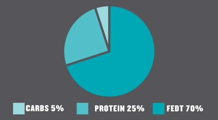 ketogen diæt