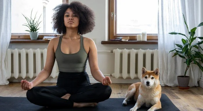 lær at meditere
