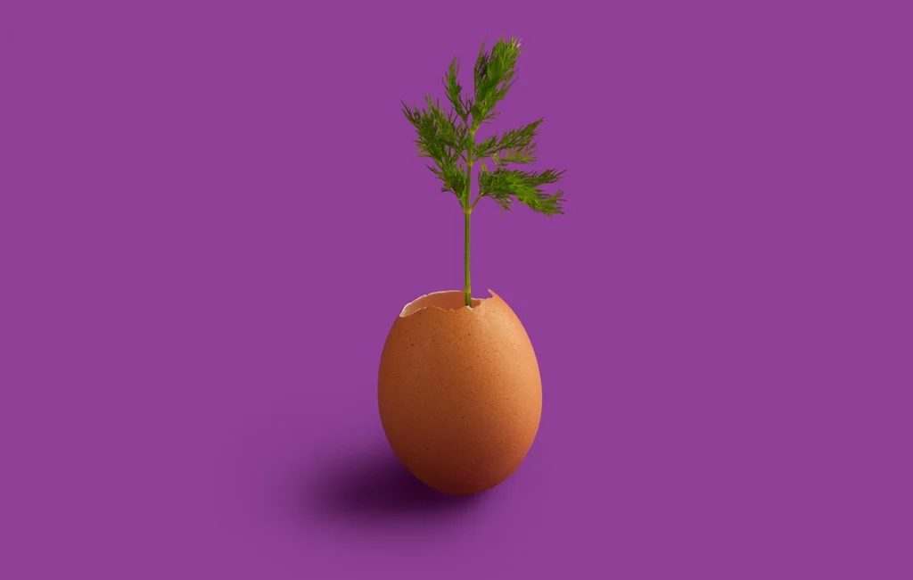 Hele æg